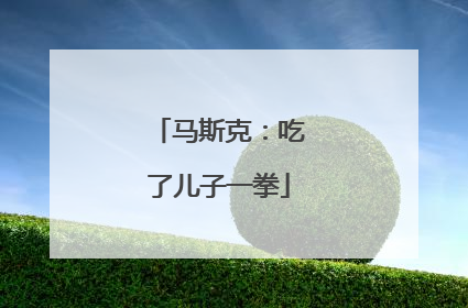 马斯克：吃了儿子一拳